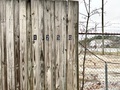 Img 2255