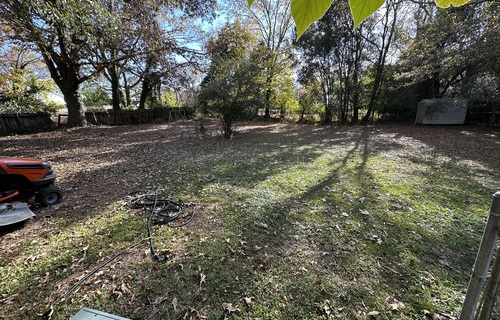 Backyard